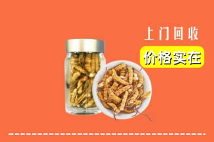 宜昌长阳县回收散虫草