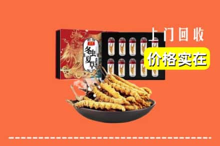 宜昌长阳县回收虫草